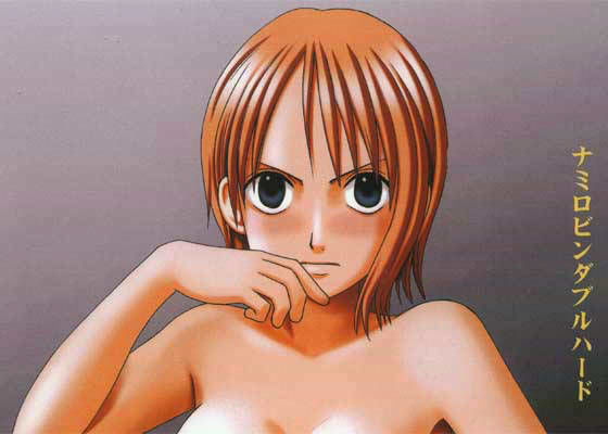 【ワンピース】ナミロビンダブルハード ナミ