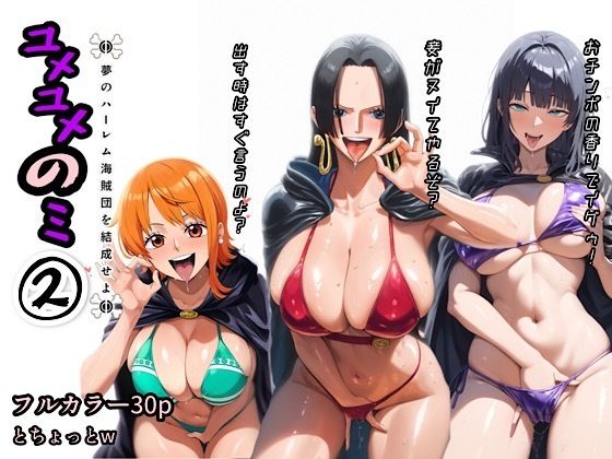 【ワンピース】ユメユメのミ〜夢のハーレム海賊団を結成せよ〜 2