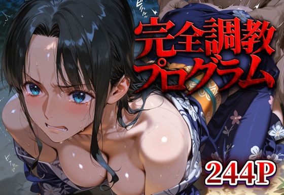 【ワンピース】完全調教プログラム_ロビン パイズリ/立ちバック/中出し
